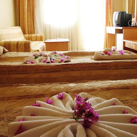 & Thermal Thermemaris 4* دالامان